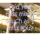 did u miss me