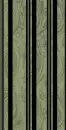 black and green striped