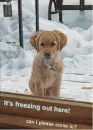 Freezing!