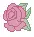 red rose