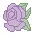 purple rose