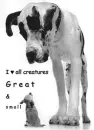 Great & small