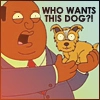WHO WANTS THIS DOG?!