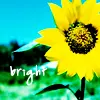 bright