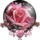 Auburne pink rose