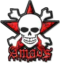 amads skull
