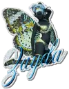 zayda wild fairy