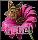 Hello
