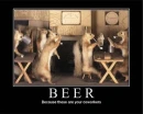 BEER , squirrels