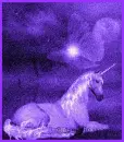 Unicorn at Midnight
