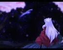 a beautiful night