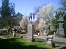 1850's Cemetary
