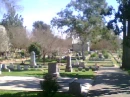 Tombstones in Cemetary 1880's