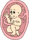 In the womb