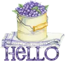 Hello