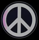 hippie