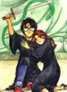 Harry/Ginny