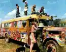 Cool Hippies