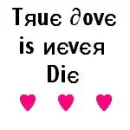 true love is never Die