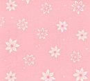 pink Daisy