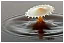 Creamer dropping into coffee