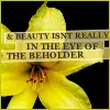 eyes of the beholder