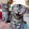 cute rite...?