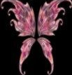 Pink Wings