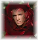 Wentworth Miller in rose