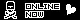 skull/online now