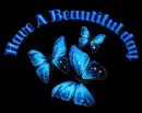 Have a beautiful day