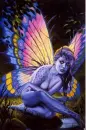 Fairy