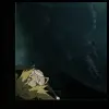 Eward Elric,