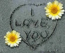 I love you