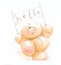 teddy