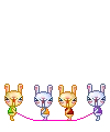 skip bunny skip