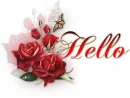 Hello