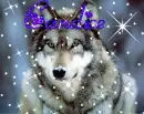 Candice wolf