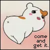 Come and get it