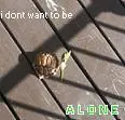 Alone...