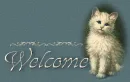 cat welcome