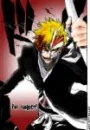 Ichigo (The Hollow Soul Reaper)