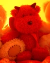 my teddy