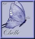 chelle butterfly