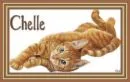 chelle cat