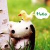 hello!