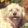 Happy Mutt