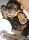 Cute Sleeper