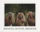 Monkeys