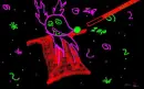 Trixis Crazy Rabbit